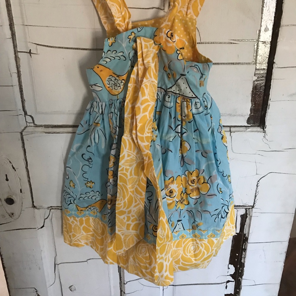 Last Chance⚡️Jelly the Pug bird dress 3T - Picture 4 of 6